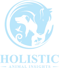 Logo 7