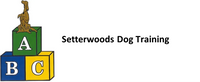 Logo 19